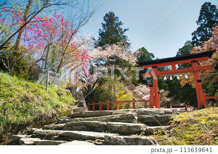 丹生都比売神社(鳥居)　【和歌山県伊都郡かつらぎ町】 113639641