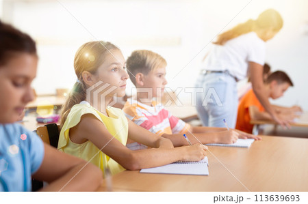 Portrait of school girl who writing exercises at lesson in school 113639693