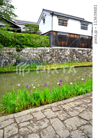 滋賀県近江八幡市 八幡堀の風景 113639881