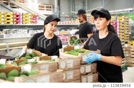Brunette hardworking woman stacks avocado 113639958