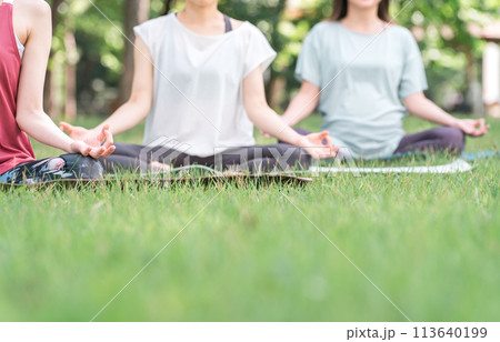 新緑の公園でヨガ教室をする女性達（ムドラー・パークヨガ・瞑想・ピラティス） 113640199