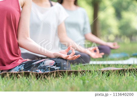 新緑の公園でヨガ教室をする女性達（ムドラー・パークヨガ・瞑想・ピラティス） 113640200