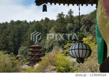長谷寺(五重塔) 【奈良県桜井市初瀬】 長谷寺(五重塔) 【奈良県桜井市初瀬】 113640320