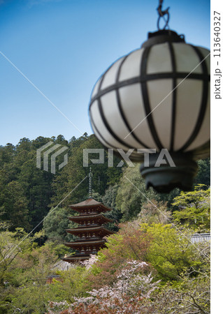 長谷寺(五重塔)　【奈良県桜井市初瀬】 113640327