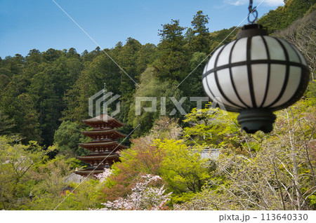 長谷寺(五重塔)　【奈良県桜井市初瀬】 113640330