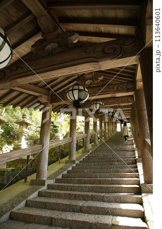 長谷寺(登廊) 【奈良県桜井市初瀬】 長谷寺(登廊) 【奈良県桜井市初瀬】 113640601