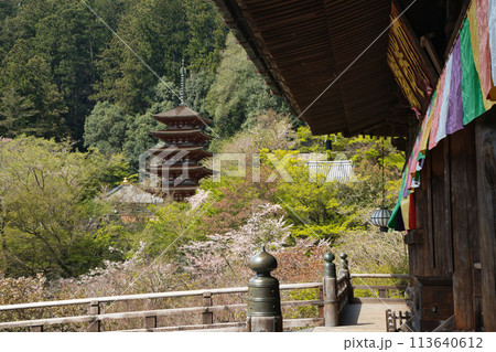 長谷寺(五重塔) 【奈良県桜井市初瀬】 長谷寺(五重塔) 【奈良県桜井市初瀬】 113640612