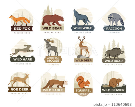 Animal labels. Badges with illustrations of different wild animals recent vector templates 113640698