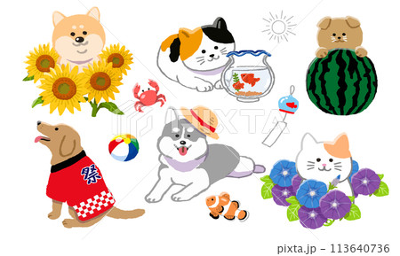 夏の犬と猫のイラストセット 夏の犬と猫のイラストセット 113640736