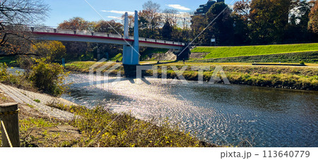 埼玉志木市 新河岸川にかかる橋 113640779