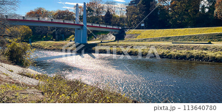 埼玉志木市 新河岸川にかかる橋 113640780