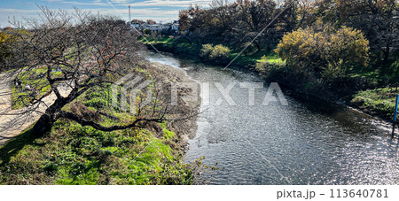 埼玉志木市 いろは親水公園と新河岸川 埼玉志木市 いろは親水公園と新河岸川 113640781
