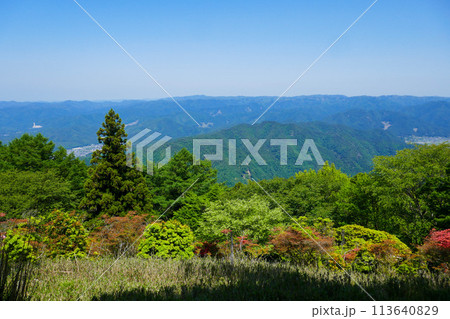比叡山の登山道 比叡山の登山道 113640829