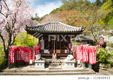 長谷寺(大黒堂)　【奈良県桜井市初瀬】 113640915