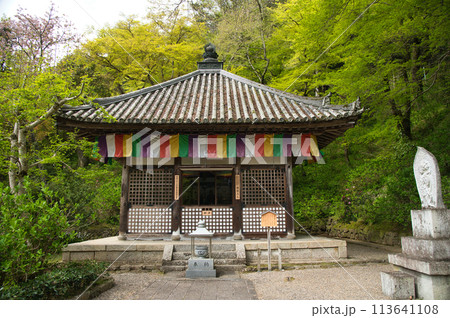 長谷寺(開山堂) 【奈良県桜井市初瀬】 長谷寺(開山堂) 【奈良県桜井市初瀬】 113641108