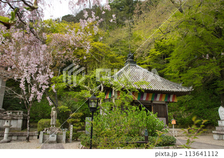 長谷寺(開山堂) 【奈良県桜井市初瀬】 長谷寺(開山堂) 【奈良県桜井市初瀬】 113641112