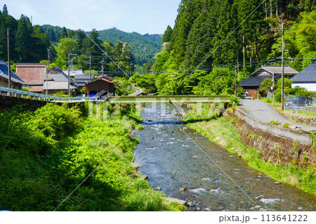 蓬莱山の登山道 蓬莱山の登山道 113641222