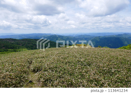 蓬莱山の登山道 蓬莱山の登山道 113641234