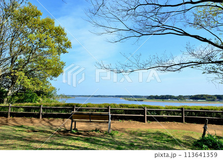 千葉県 高野山桃山公園展望台からの手賀沼の風景 千葉県 高野山桃山公園展望台からの手賀沼の風景 113641359
