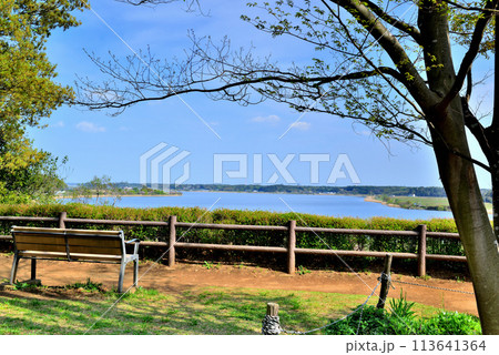 千葉県　高野山桃山公園展望台からの手賀沼の風景 113641364