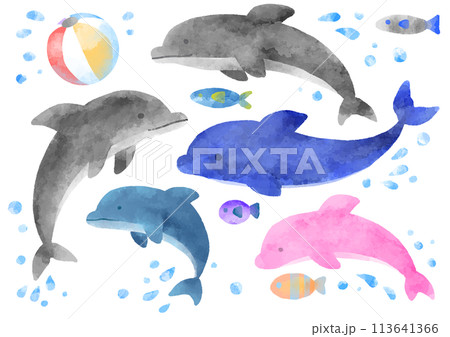 水彩風のイルカのイラストのイラスト素材 [113641366] - PIXTA