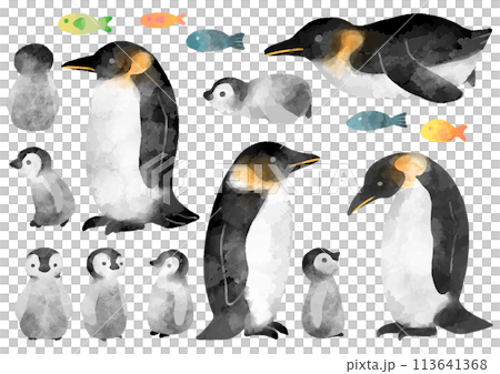 皇帝ペンギンの親子のイラスト 水彩風 手描き 皇帝ペンギンの親子のイラスト 水彩風 手描き 113641368