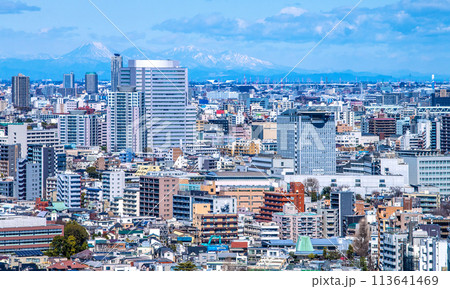 日本の東京都市景観 山々が見える珍景。文京グリーンコートや東洋大学、男体山、大真名子山などを望む 日本の東京都市景観 山々が見える珍景。文京グリーンコートや東洋大学、男体山、大真名子山などを望む 113641469