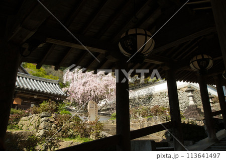 長谷寺(登廊)　【奈良県桜井市初瀬】 113641497