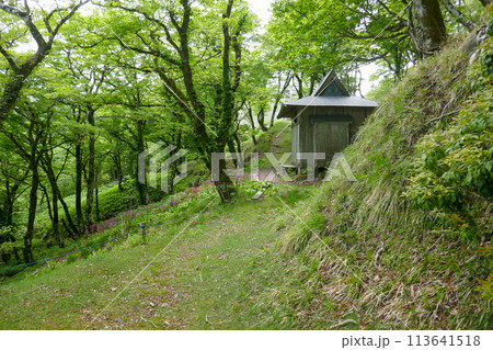 蓬莱山の登山道 113641518