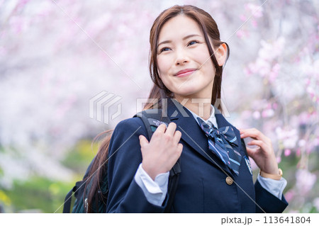 満開の桜の中、新学期を迎え登校する女子高生 満開の桜の中、新学期を迎え登校する女子高生 113641804