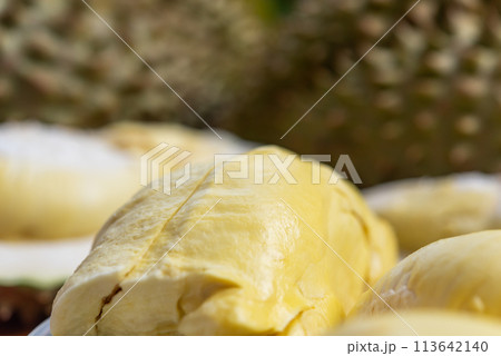 Durian is a king of fruit in Thailand and asia 113642140