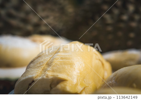 Durian is a king of fruit in Thailand and asia Durian is a king of fruit in Thailand and asia 113642149