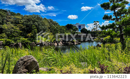 夏のしながわ区民公園 113642223