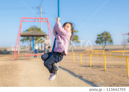 公園のターザンロープで遊ぶ女の子 公園のターザンロープで遊ぶ女の子 113642705