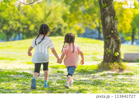 芝生の公園を手を繋いで歩く姉妹 113642727