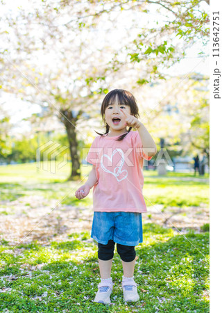初夏の芝生の公園で遊ぶ子ども 初夏の芝生の公園で遊ぶ子ども 113642751