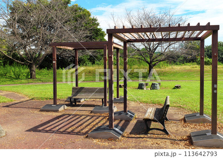 晴れた人気のない緑の公園のベンチと格子の日よけ 113642793