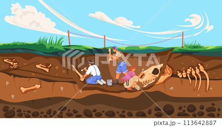 Archaeologist dig fossils. Archeological works, archaeology scientist digging fossil in soil, paleontology excavation study history artifacts discover, recent vector illustration Archaeologist dig fossils. Archeological works, archaeology scientist digging fossil in soil, paleontology excavation study history artifacts discover, recent vector illustration 113642887