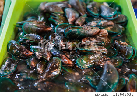 Fresh raw sea mussels clams at seafood market 113643036