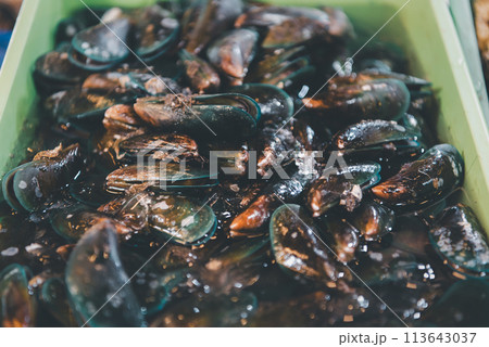 Fresh raw sea mussels clams at seafood market 113643037