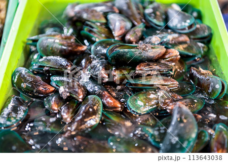 Fresh raw sea mussels clams at seafood market 113643038