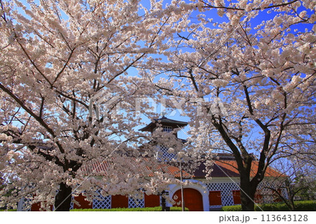 新潟市郷土資料館 113643128