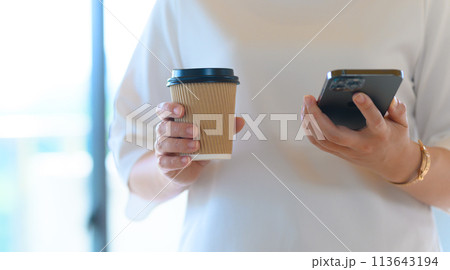 ビジネスシーンの女性イメージポートレート 113643194