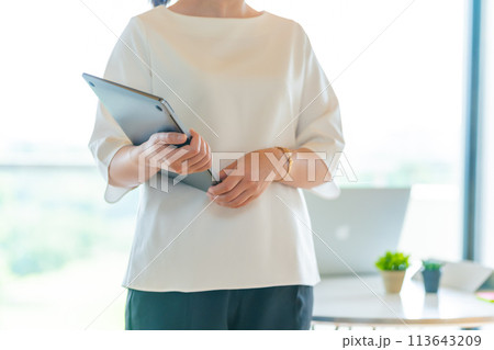 ビジネスシーンの女性イメージポートレート 113643209