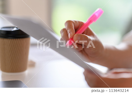 ビジネスシーンの女性イメージポートレート 113643214