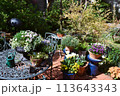 花のある庭 113643343