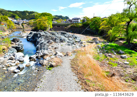 青岩公園周辺(群馬県下仁田町)【2024.4】 113643629