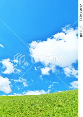 爽やかな夏の青空と新緑の草原風景 113643642
