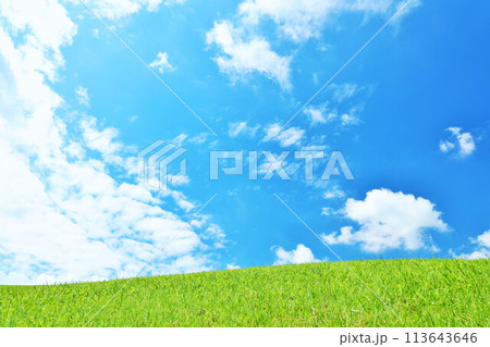 爽やかな夏の青空と新緑の草原風景 113643646