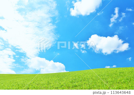 爽やかな夏の青空と新緑の草原風景 爽やかな夏の青空と新緑の草原風景 113643648